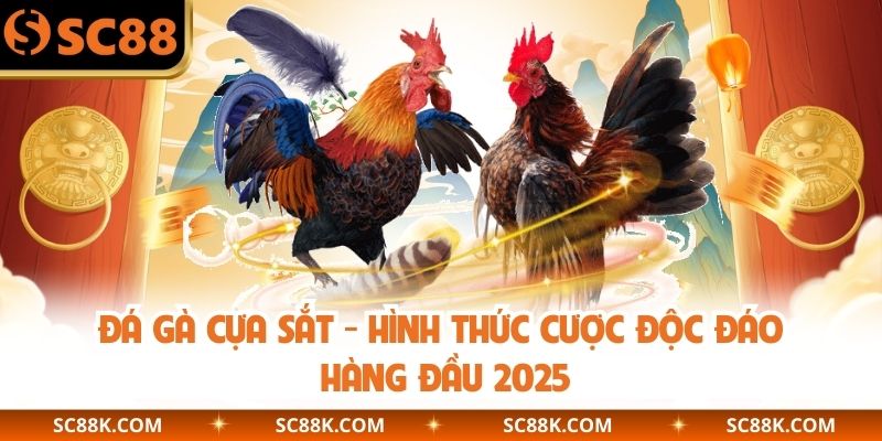 Đá Gà Cựa Sắt - Hình Thức Cược Độc Đáo Hàng Đầu 2025